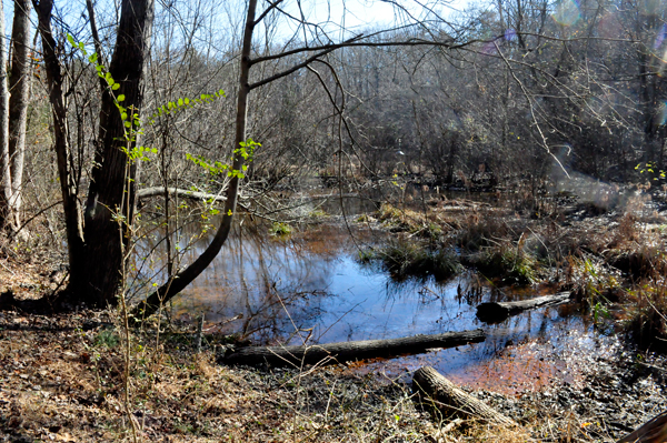 small lake at Crowders Mountain